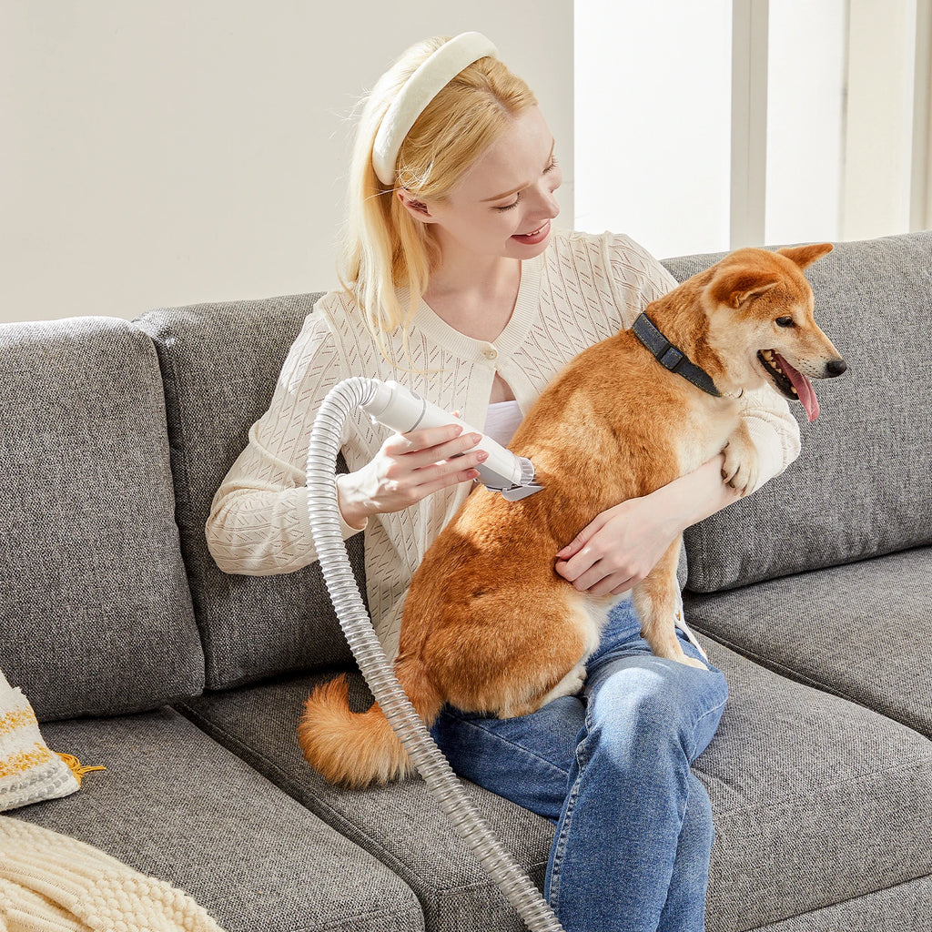 Professional Pet Grooming Vacuum Kit with 3 Suction Modes 2.5L tank