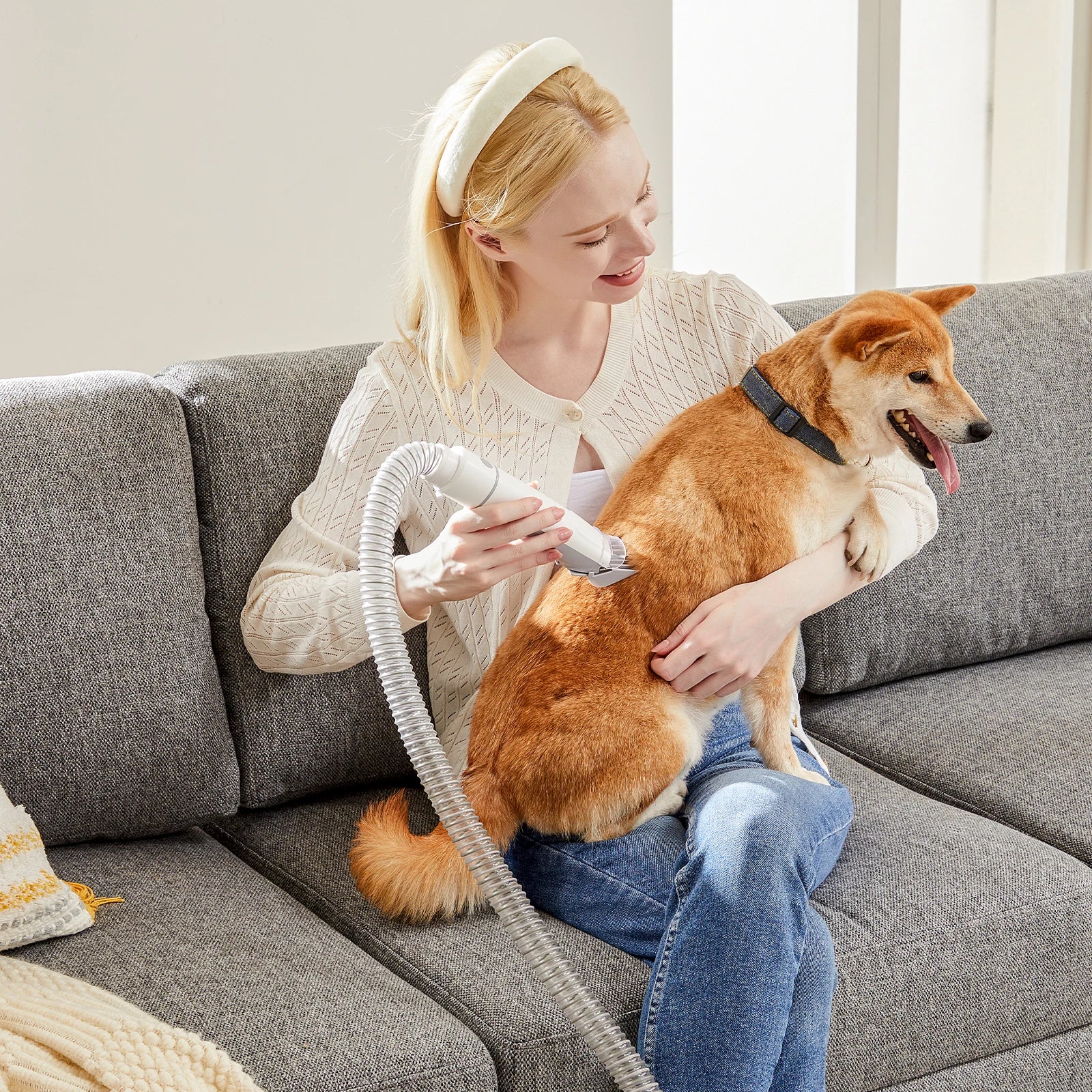 Professional Pet Grooming Vacuum Kit with 3 Suction Modes 2.5L tank