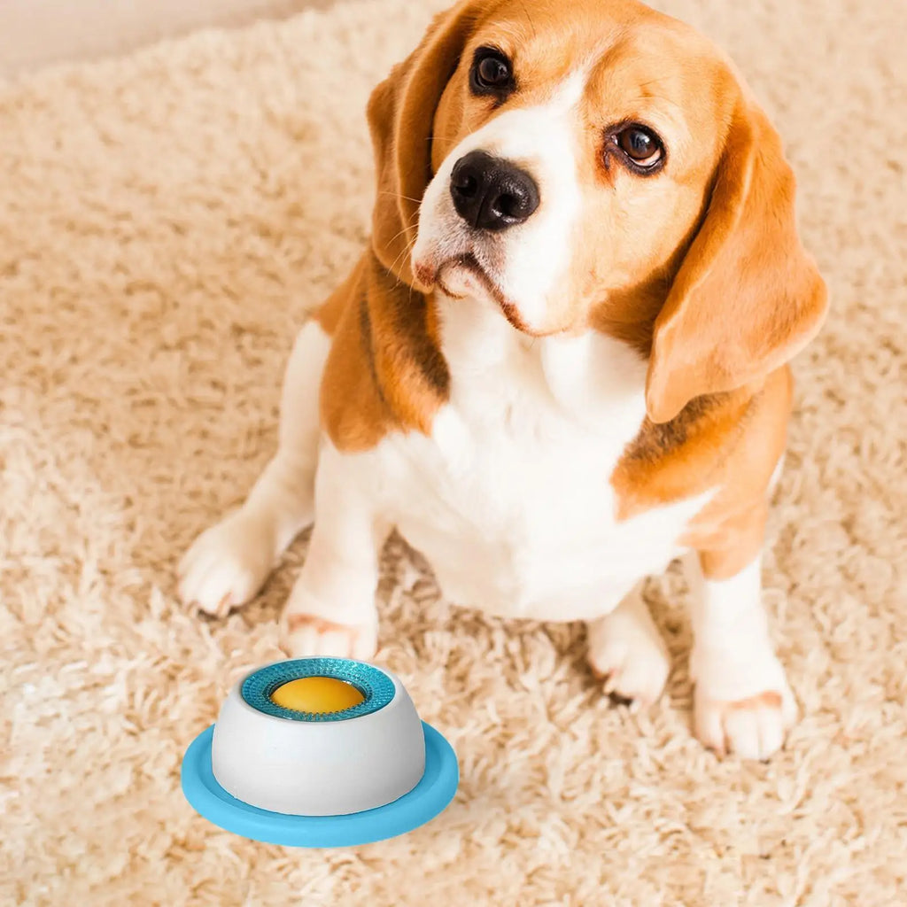 Dog Treat Puzzle Toy slow feeder for healthy eating